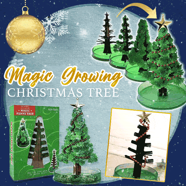 DIY Growing Paper Tree Christmas Tree