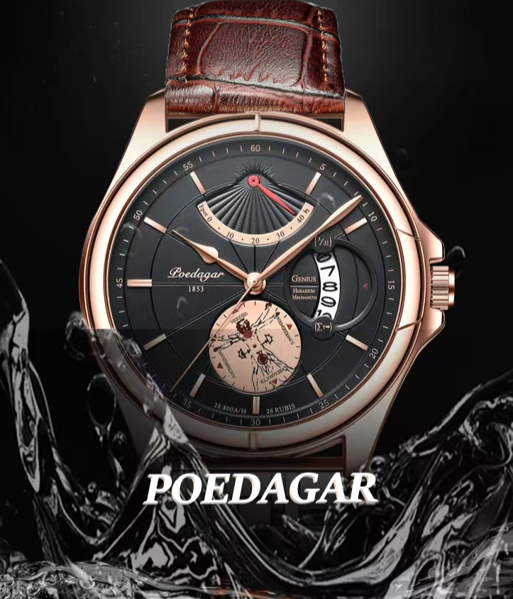 Top Brand POEDAGAR Men's Leather Watch