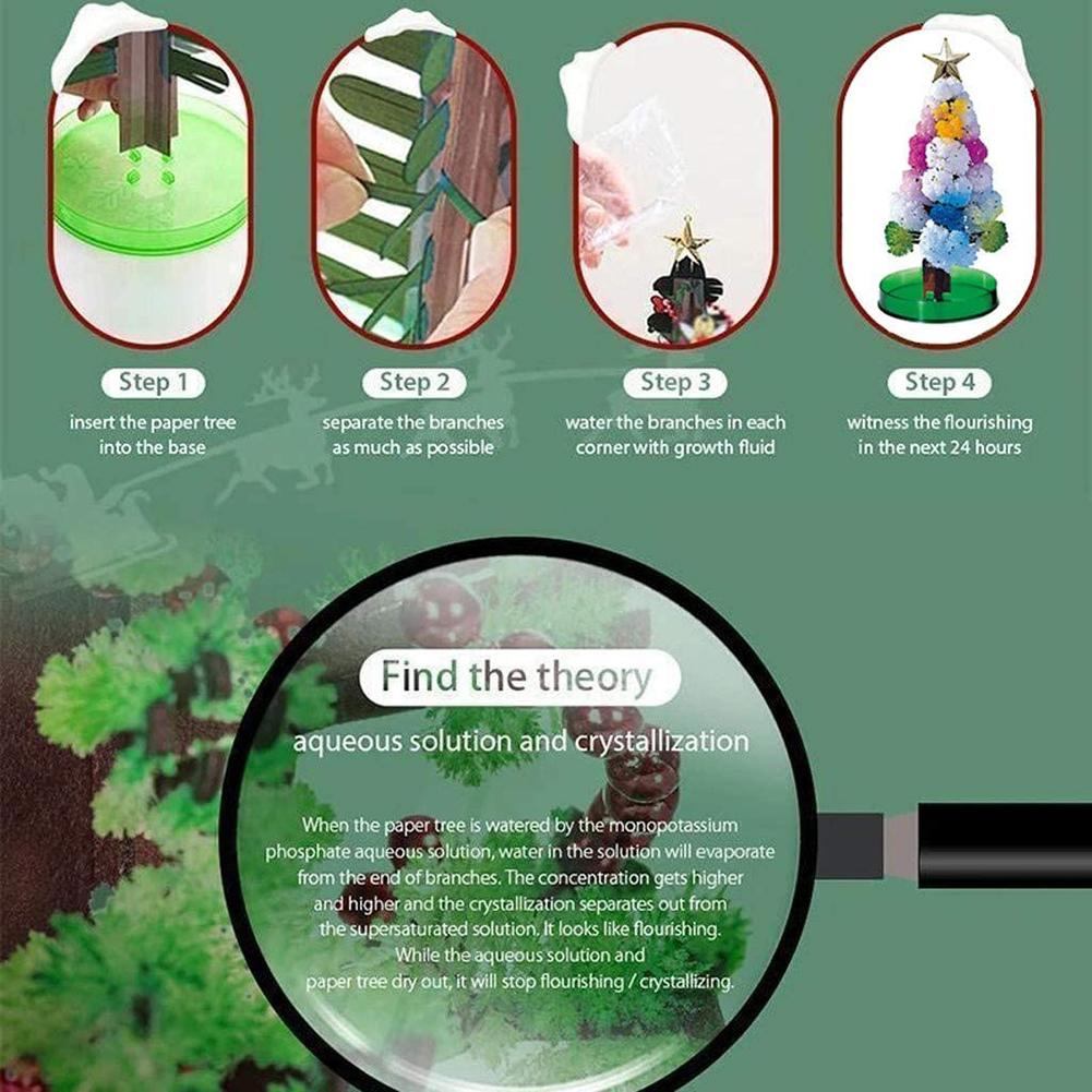 DIY Growing Paper Tree Christmas Tree