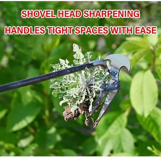 4 Teeth Dual Purpose Weeder Tool [Buy 1 Get 1 Free]