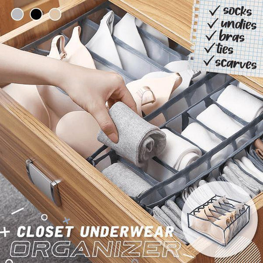 Closet Underwear Organizer (3 PCS/ SET)